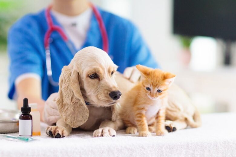 Understanding Pet Vaccinations: What Your Dog or Cat Really Needs