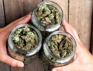 Things To Know Before Buying Marijuana From A Dispensary