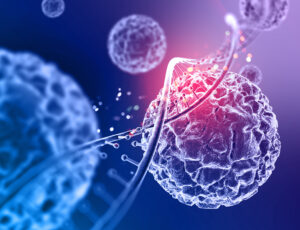Stem Cell Therapy: Pioneering New Paths In Healthcare