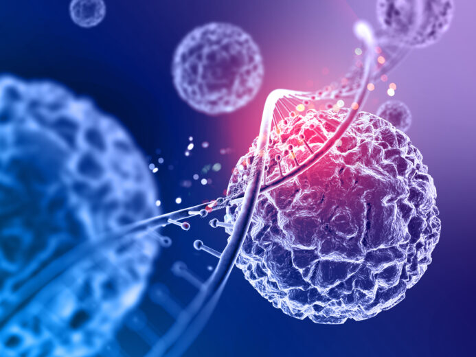 Stem Cell Therapy: Pioneering New Paths In Healthcare