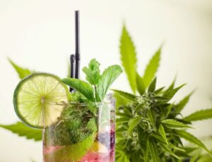 Herb To Hydration: Understanding THC Beverages